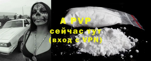 не бодяженный Горно-Алтайск