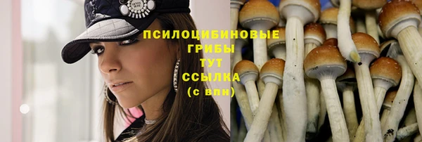 эйфоретик Горнозаводск