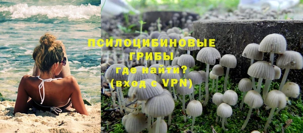 не бодяженный Горно-Алтайск