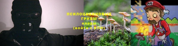 не бодяженный Горно-Алтайск