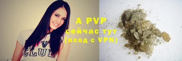 не бодяженный Горно-Алтайск