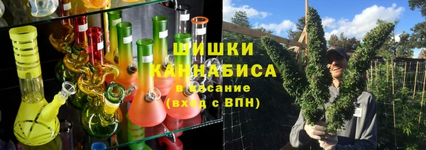 не бодяженный Горно-Алтайск