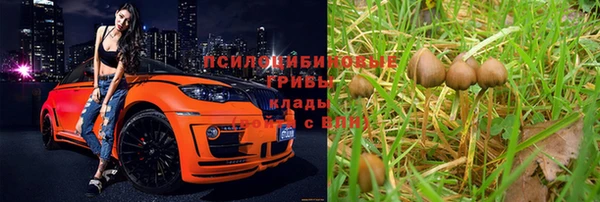 не бодяженный Горно-Алтайск