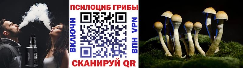 как найти закладки Пущино KRAKEN вход Псилоцибиновые грибы мицелий